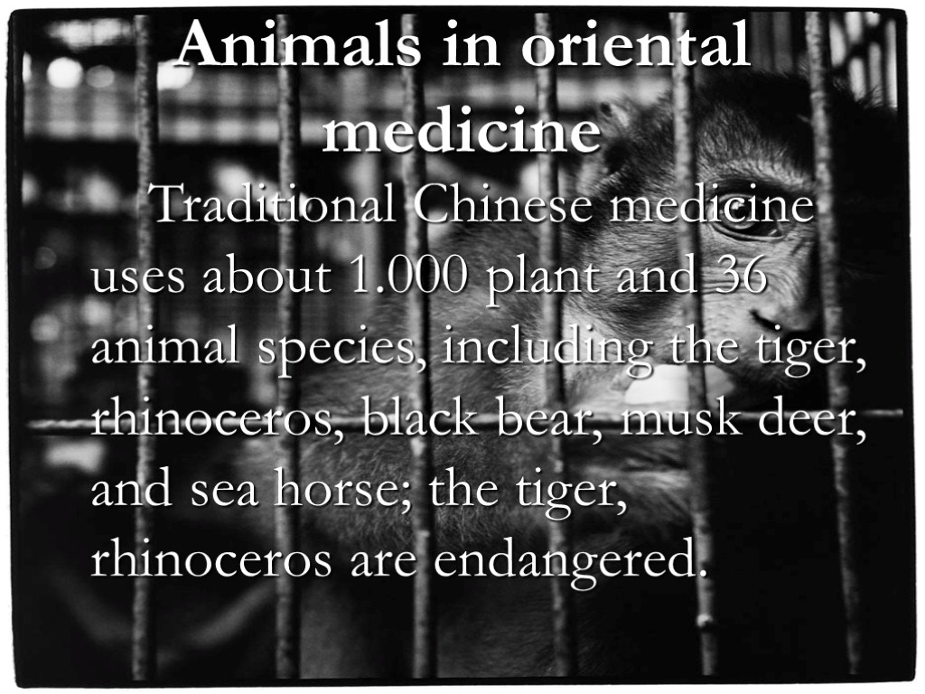 Animals in oriental medicine Traditional Chinese medicine uses about 1.000 plant and 36 animal